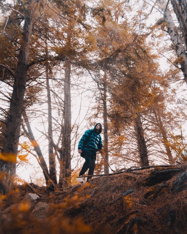 a photo of a hiker in a blue puffy jacket walking through autumn woods