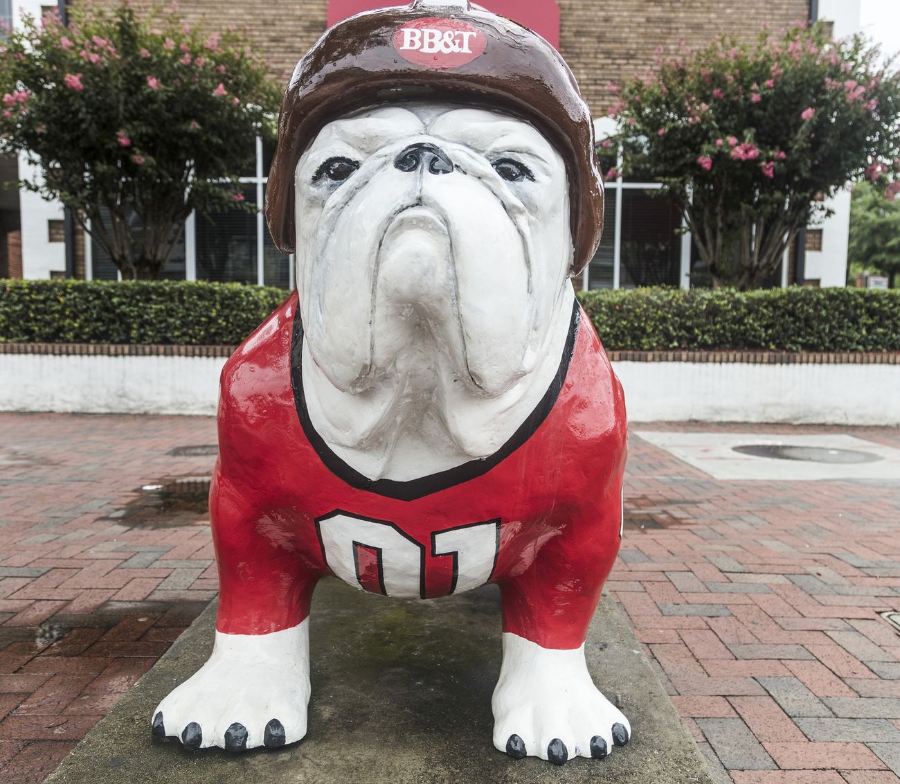 Bulldog statue in Athens painted to look like a UGA football uniform